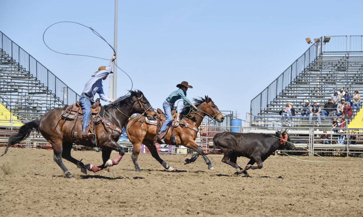 042615 Elks Minetti Min Rodeo 02.jpg